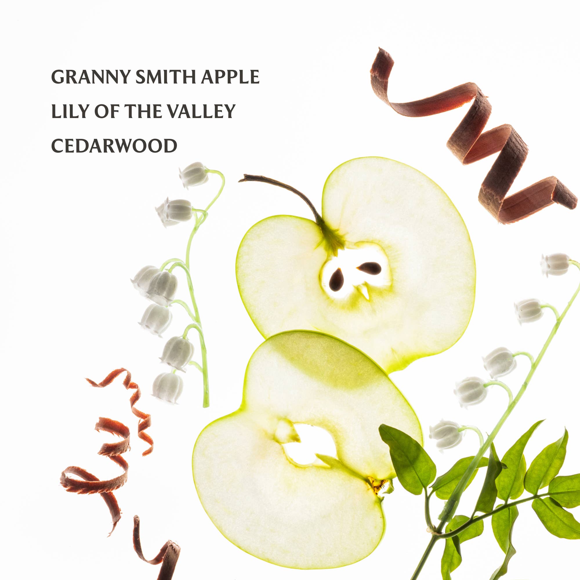 Applelicious Power Mist Hydrating Hand Sanitizer - From Me To You