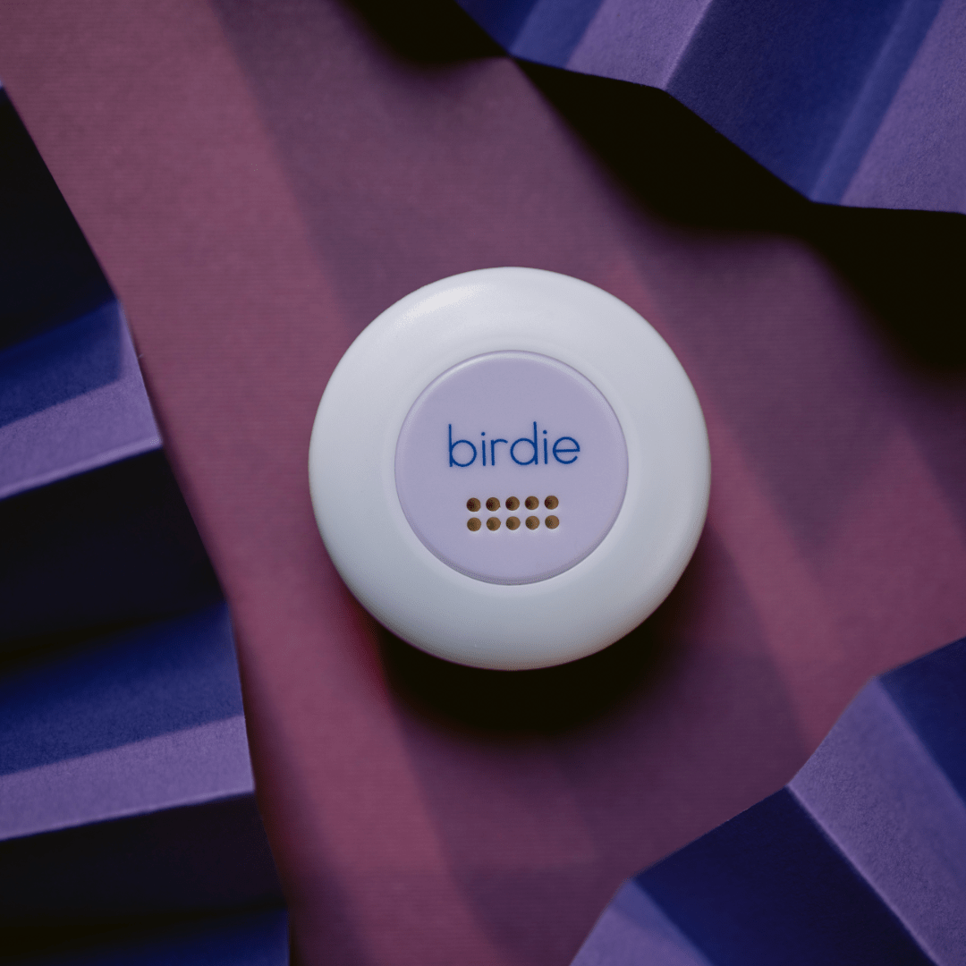 Birdie Disc - From Me To You