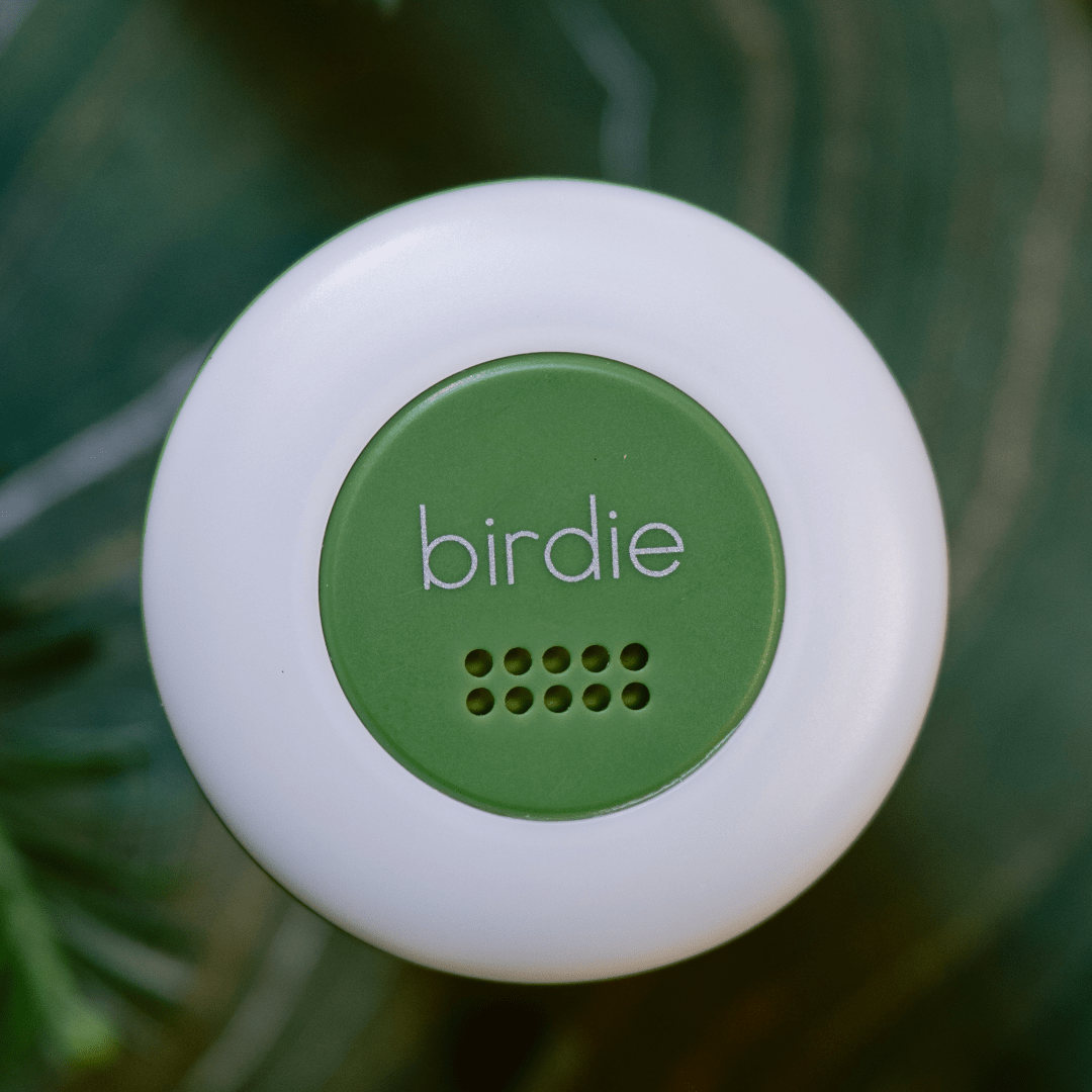 Birdie Disc - From Me To You