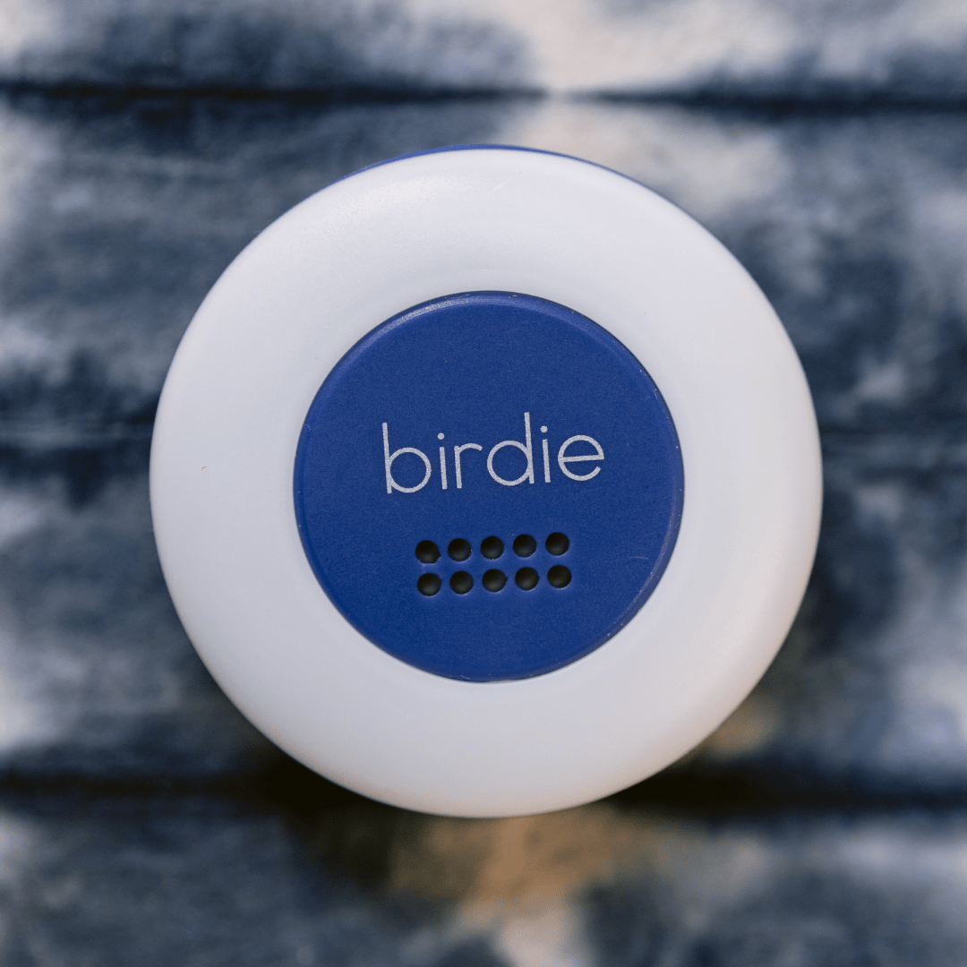 Birdie Disc - From Me To You