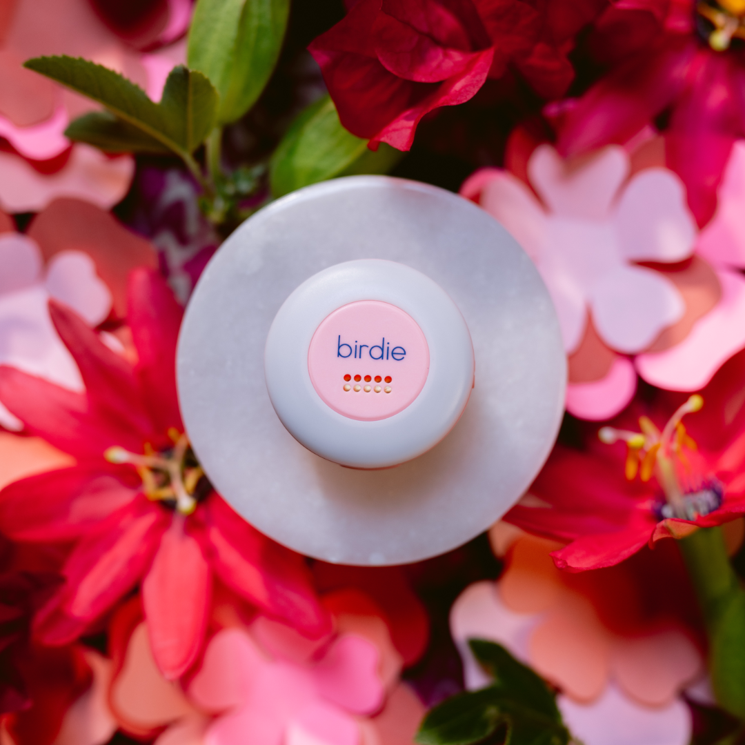 Birdie Disc - From Me To You