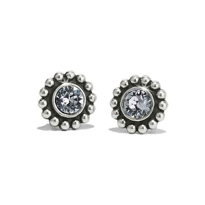 Brighton Twinkle mini post earrings - From Me To You