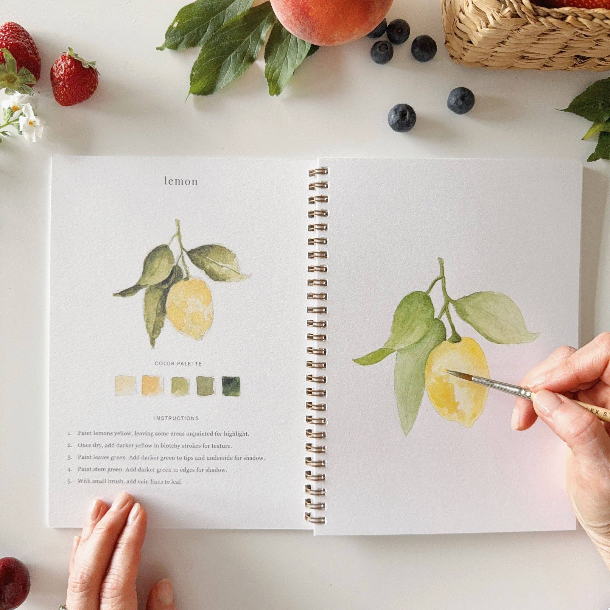 Fruit watercolor workbook - From Me To You