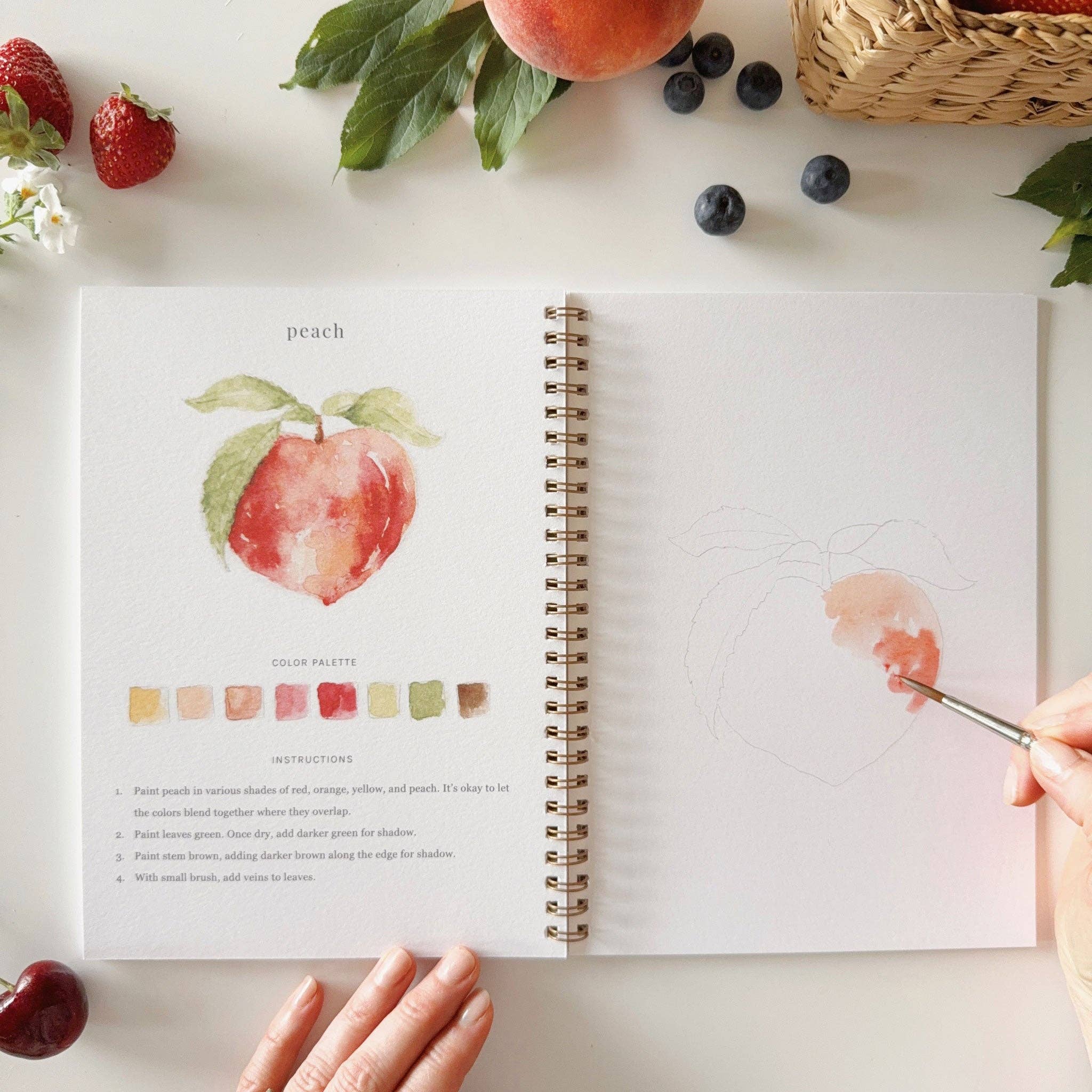 Fruit watercolor workbook - From Me To You