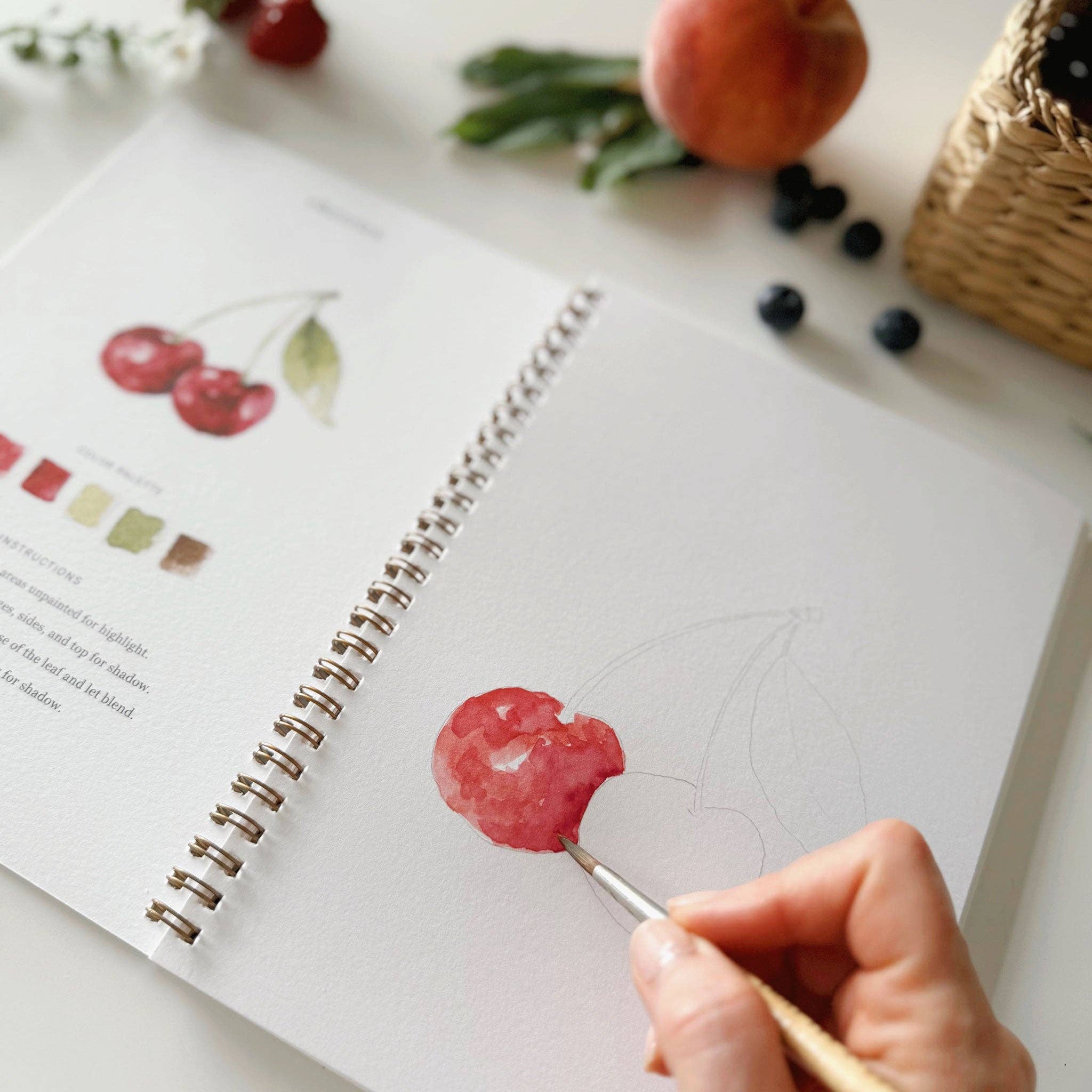 Fruit watercolor workbook - From Me To You