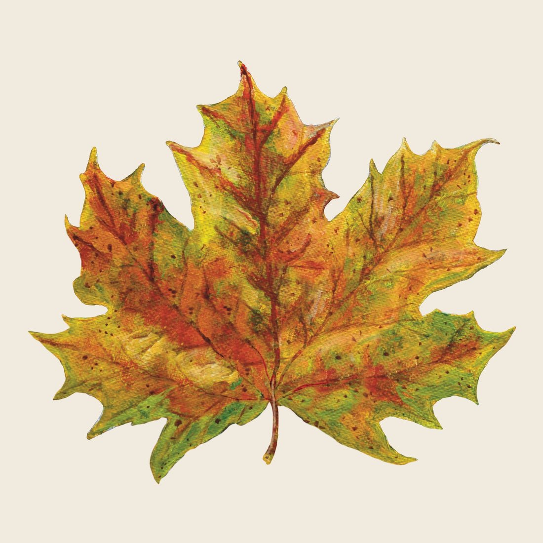 Hester & Cook Fall Foliage Cocktail Napkin - pack of 20 - From Me To You