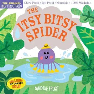 Itsy Bitsy Spider Indestructible Children's Book - From Me To You