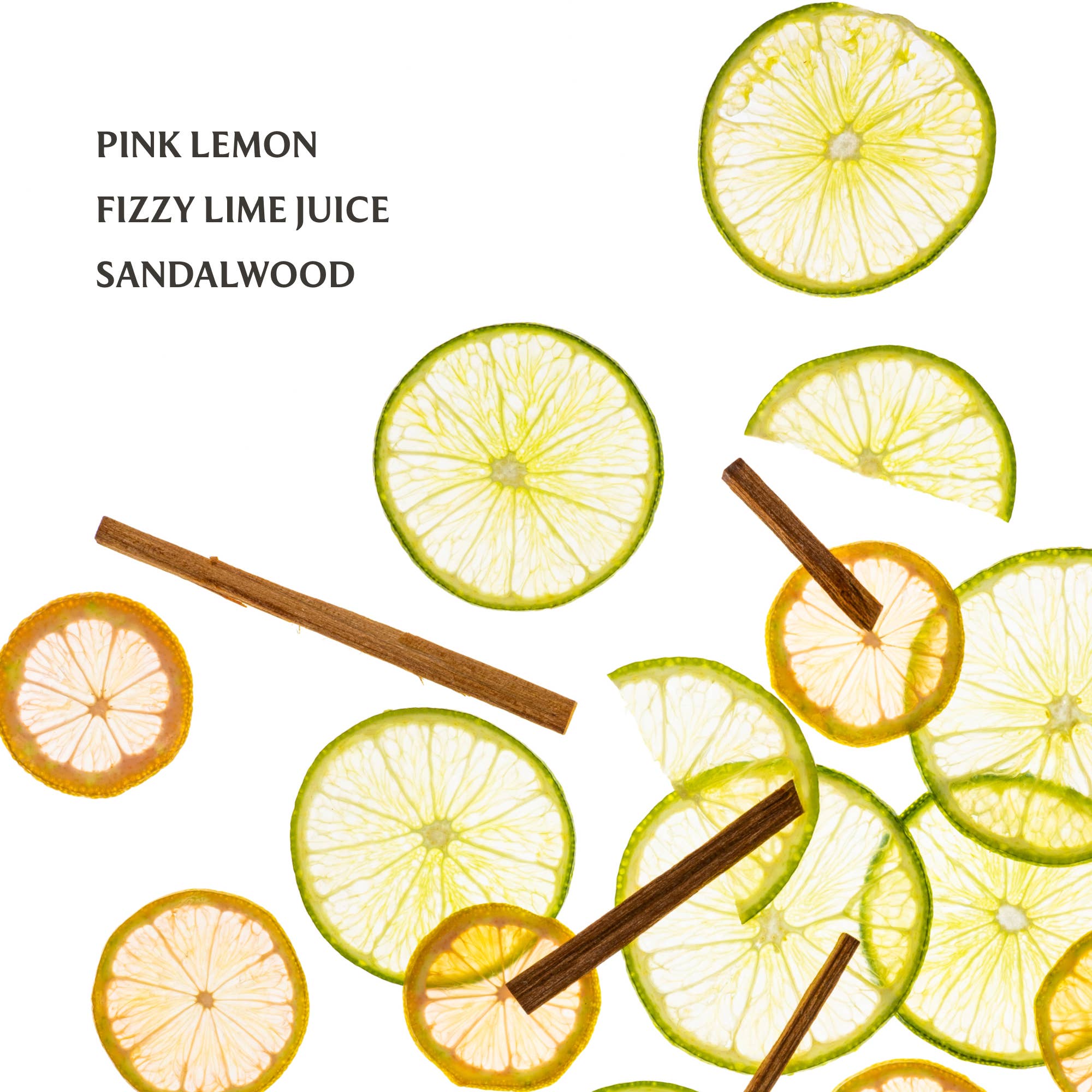 Lemon Lime Spritz Power Mist Hydrating Hand Sanitizer - From Me To You
