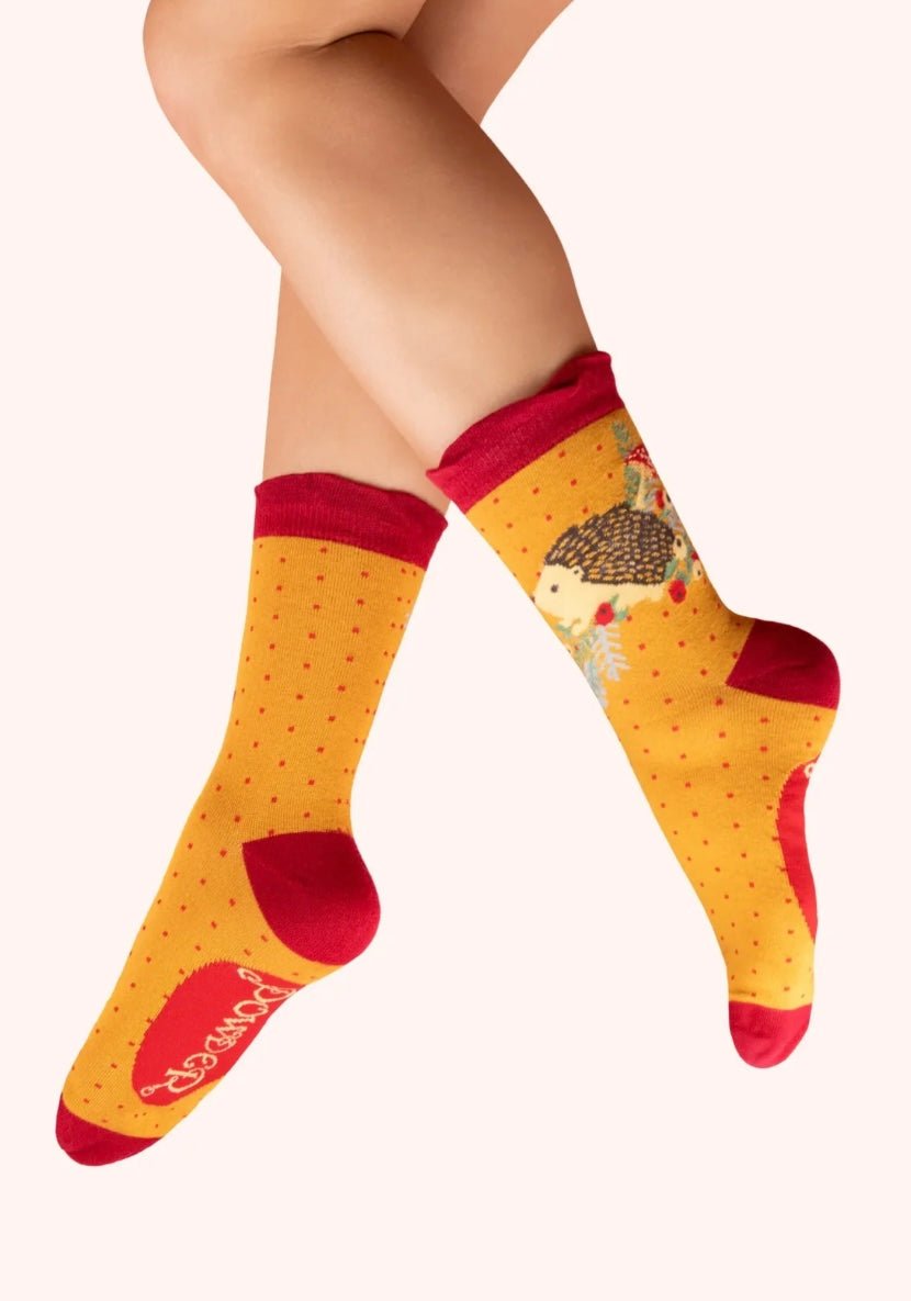 Powder - Ladies Ankle Socks - Nesting Hedgehogs - From Me To You