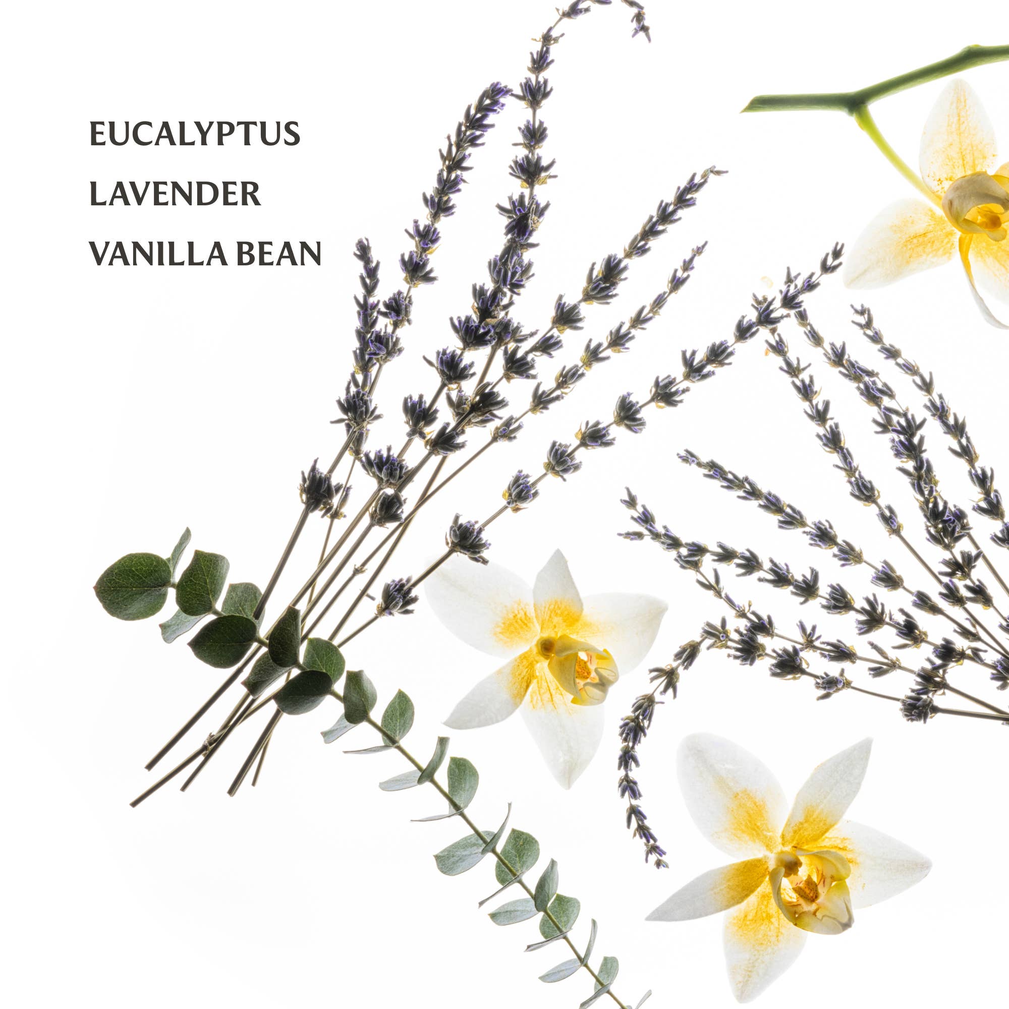 Pure Lavender Power Mist Hydrating Hand Sanitizer - From Me To You