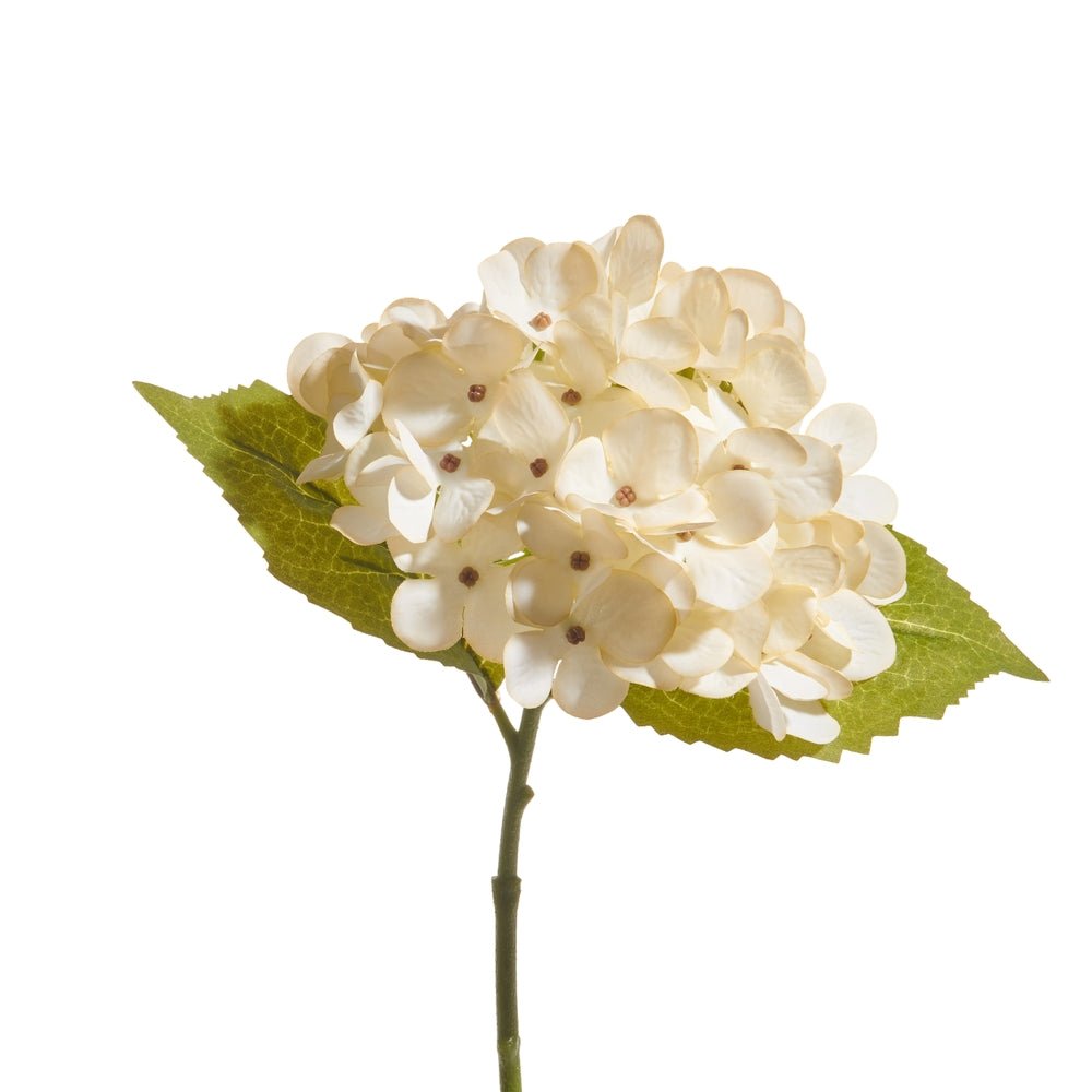 Raz 14" Cream Hydrangea Stem - From Me To You