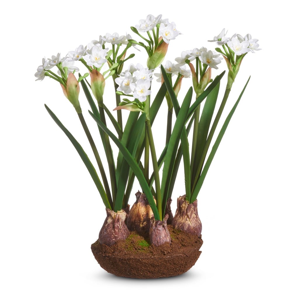 Raz 15" Narcissus Drop In - From Me To You