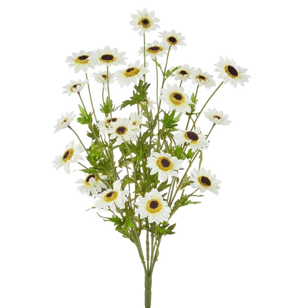 Raz 25" White Black - Eyed Susan Bush - From Me To You