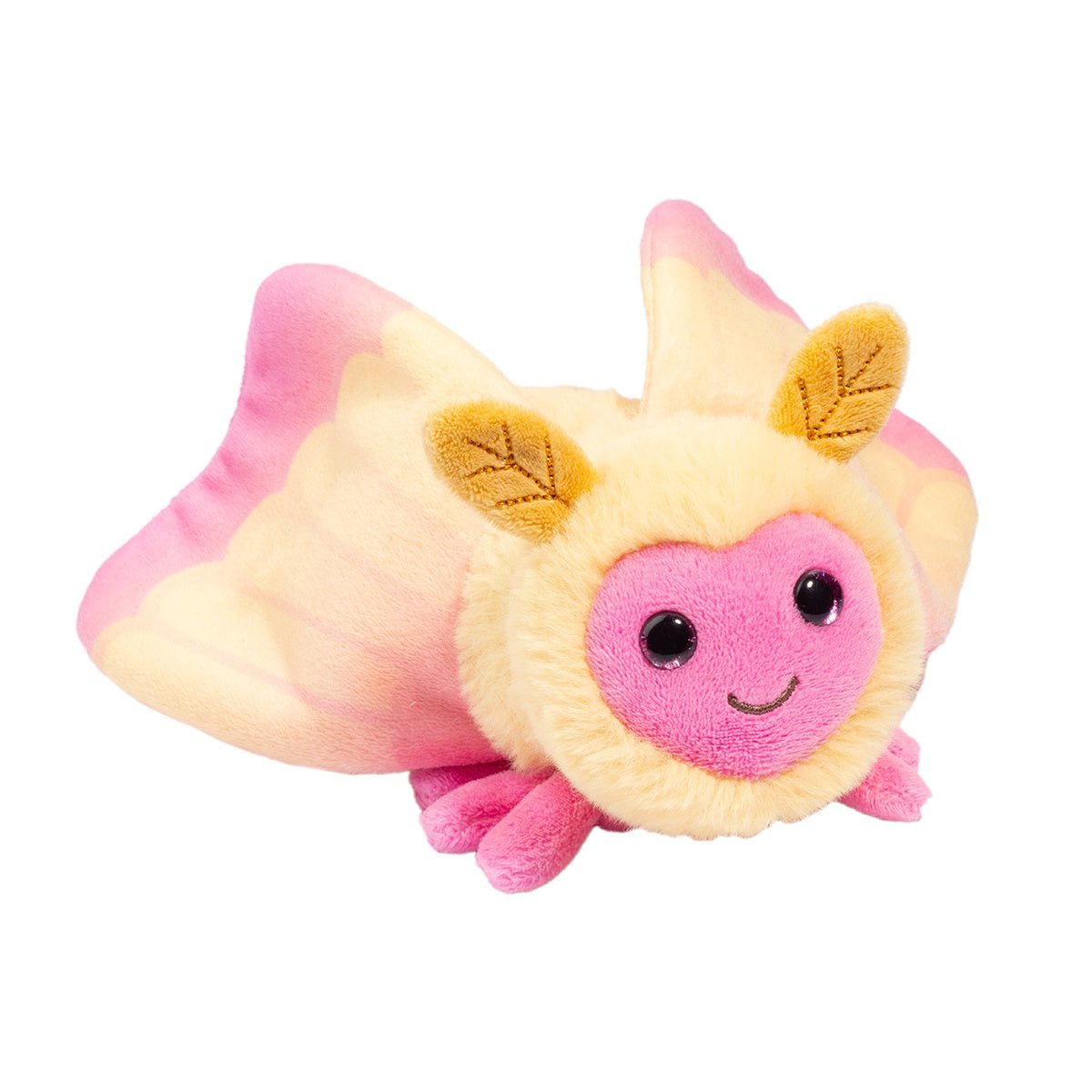 Rosy Maple Moth - From Me To You