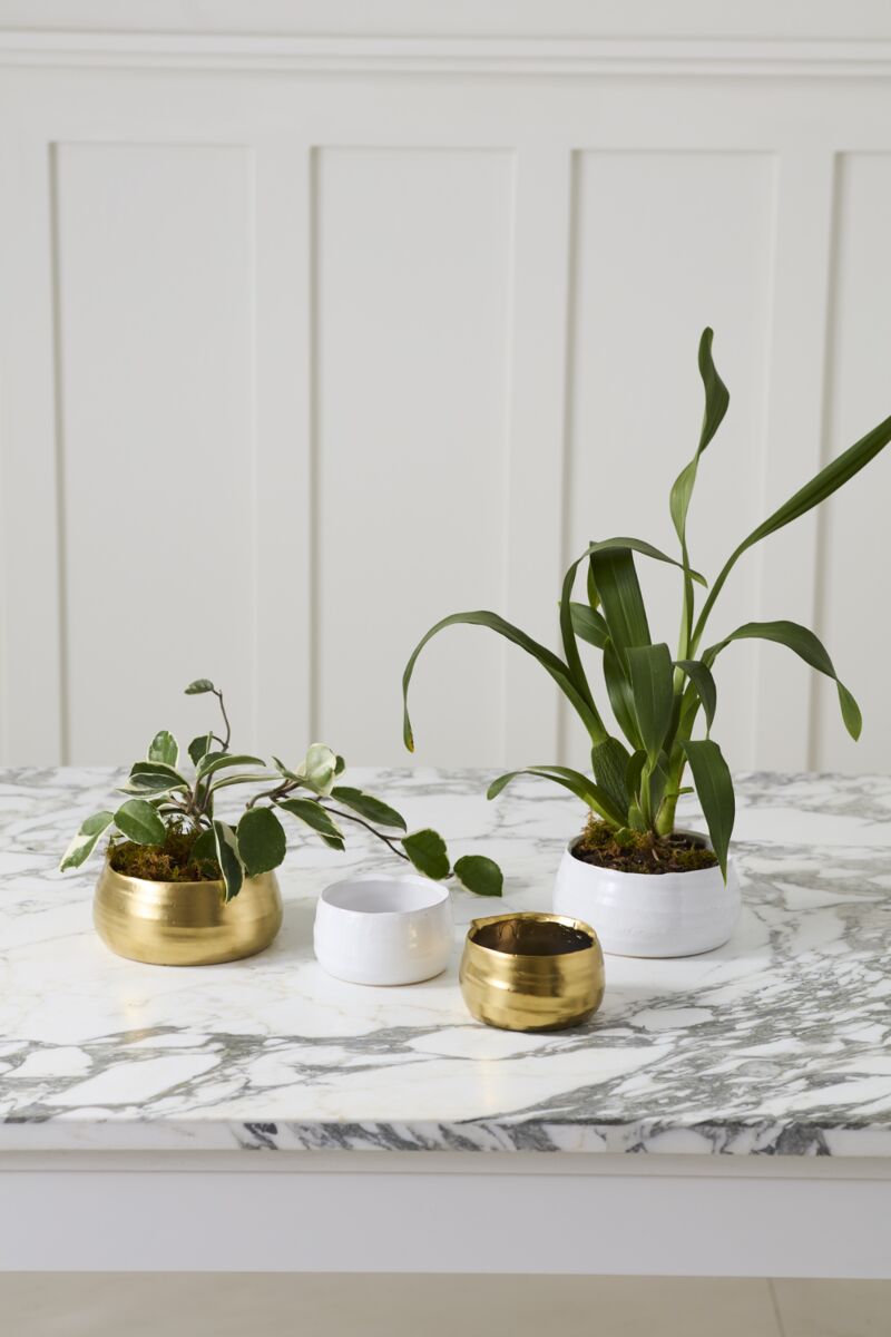 Tegan Pot | Accent Decor - From Me To You