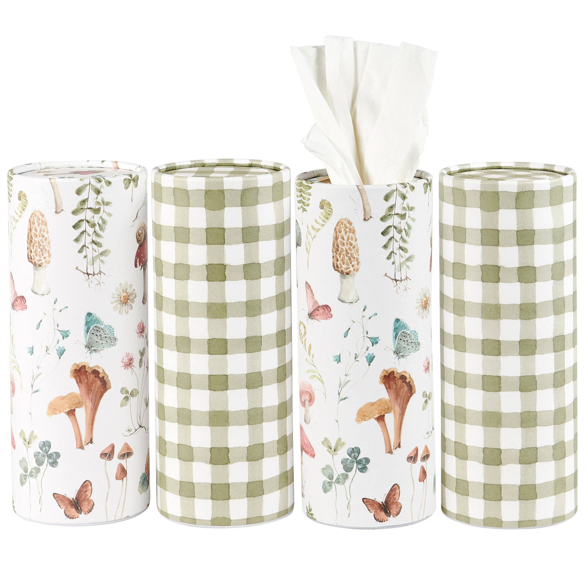 Mushroom Study Tissue Box Set