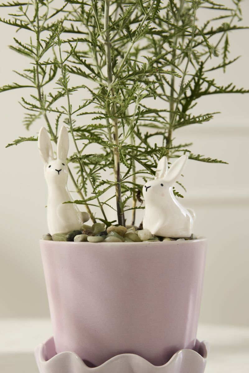 Accent Decor Thumper Plant Sticks - 4.5"/5.25 - From Me To You