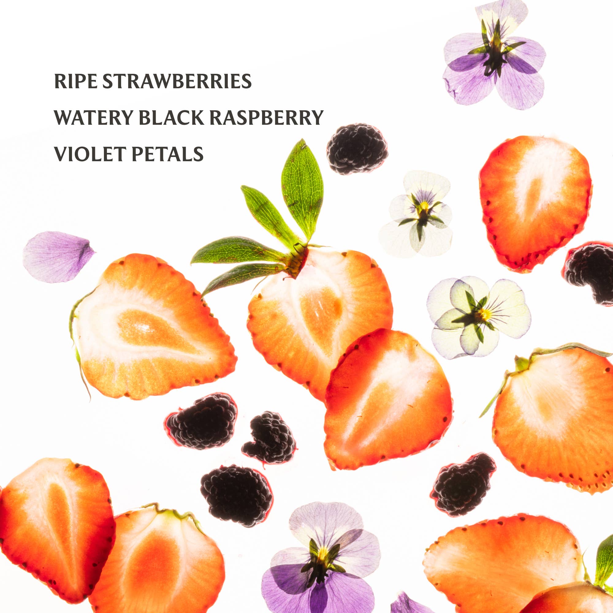 Berry Bliss Power Mist Hydrating Hand Sanitizer - From Me To You