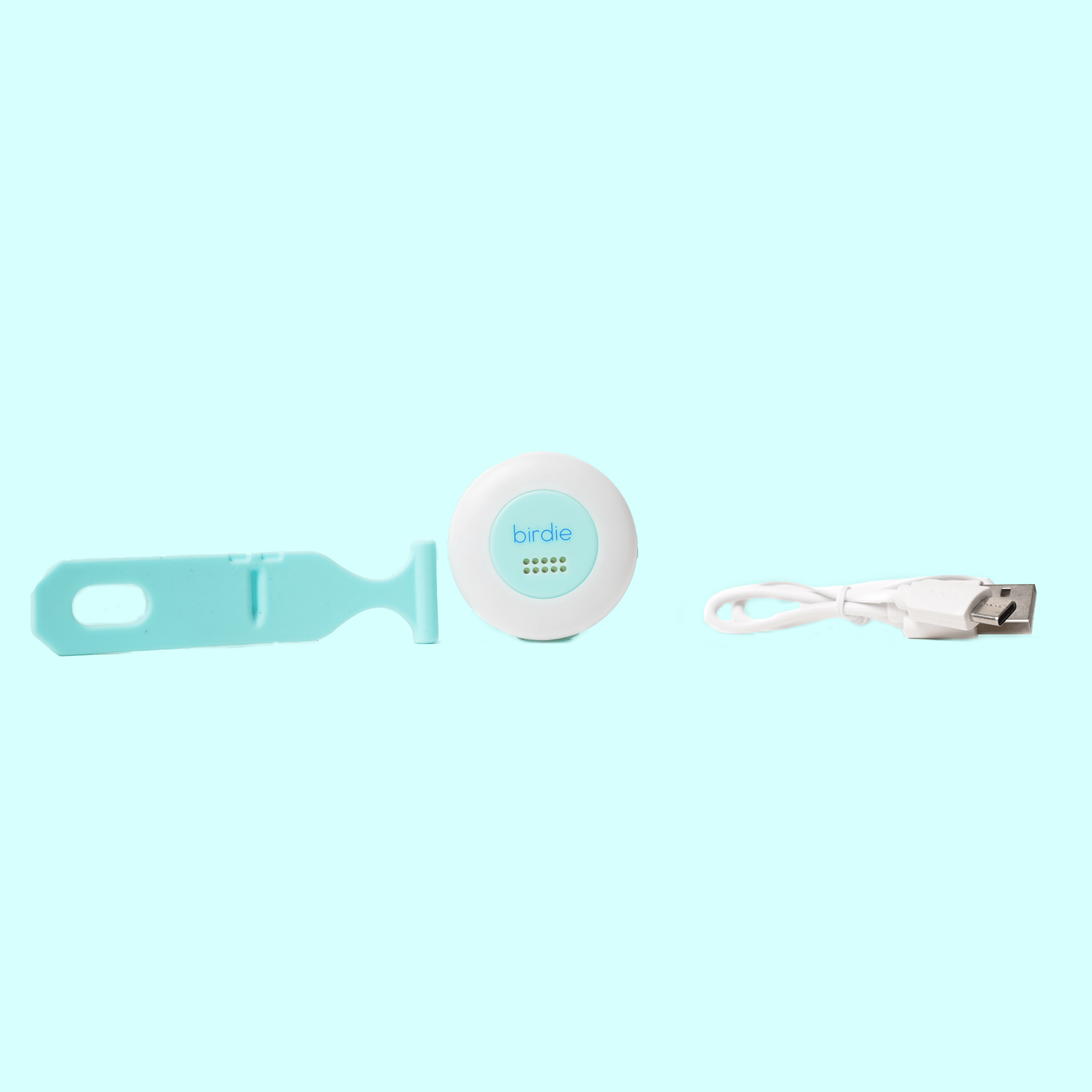 Birdie Disc - From Me To You