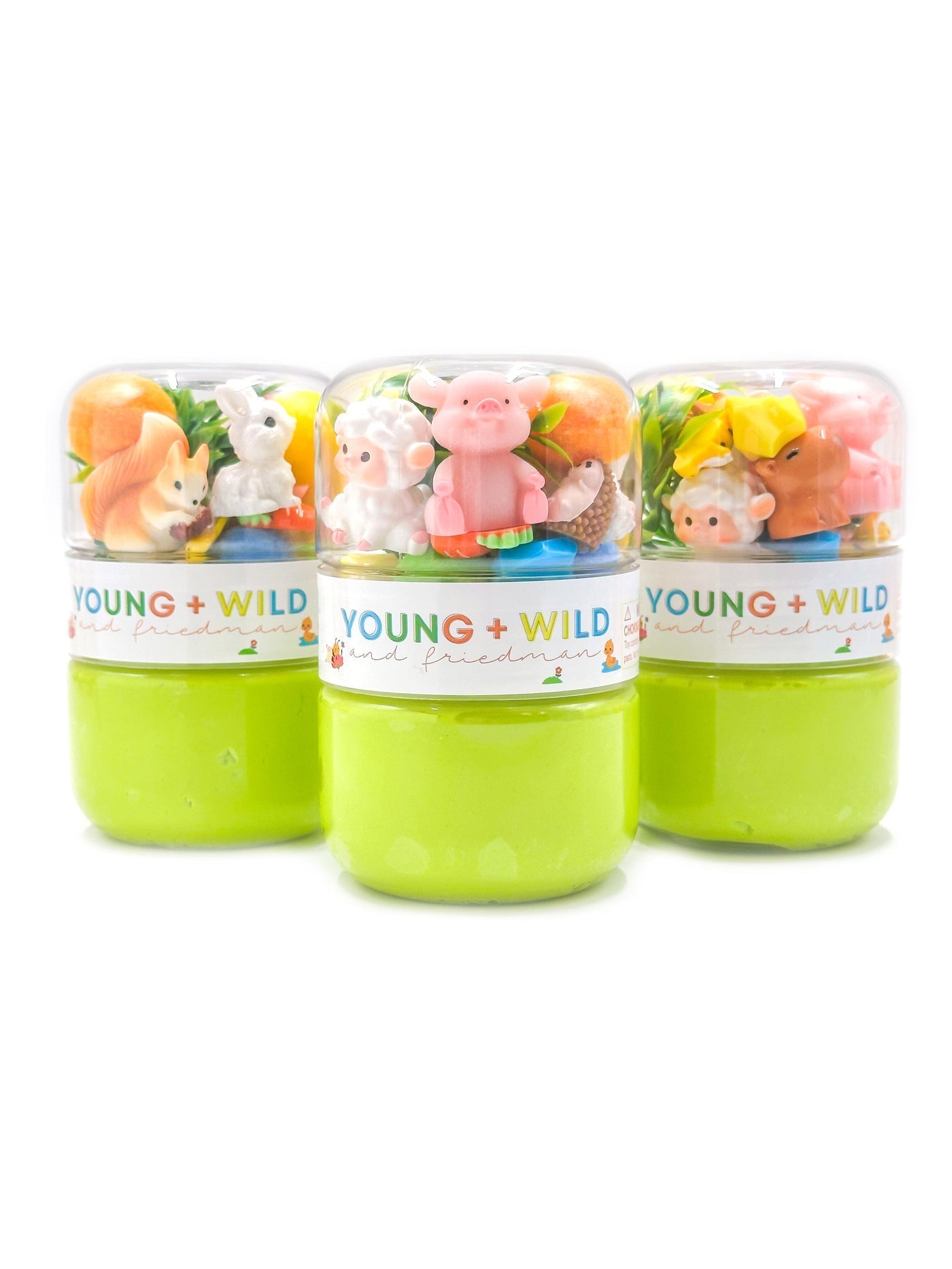 Grab & Go Dough Jar - Spring Animals - From Me To You