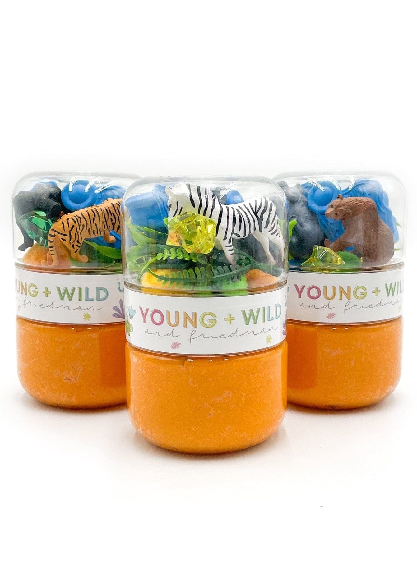 Grab & Go Dough Jar - Zoo - From Me To You