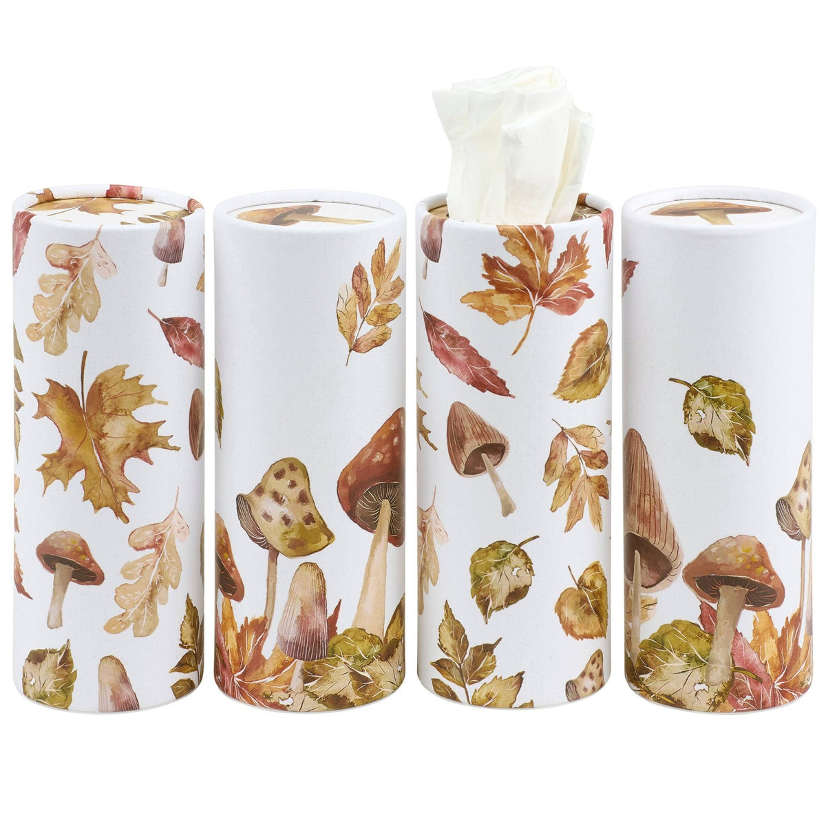 Harvest Tissue Box Set - From Me To You