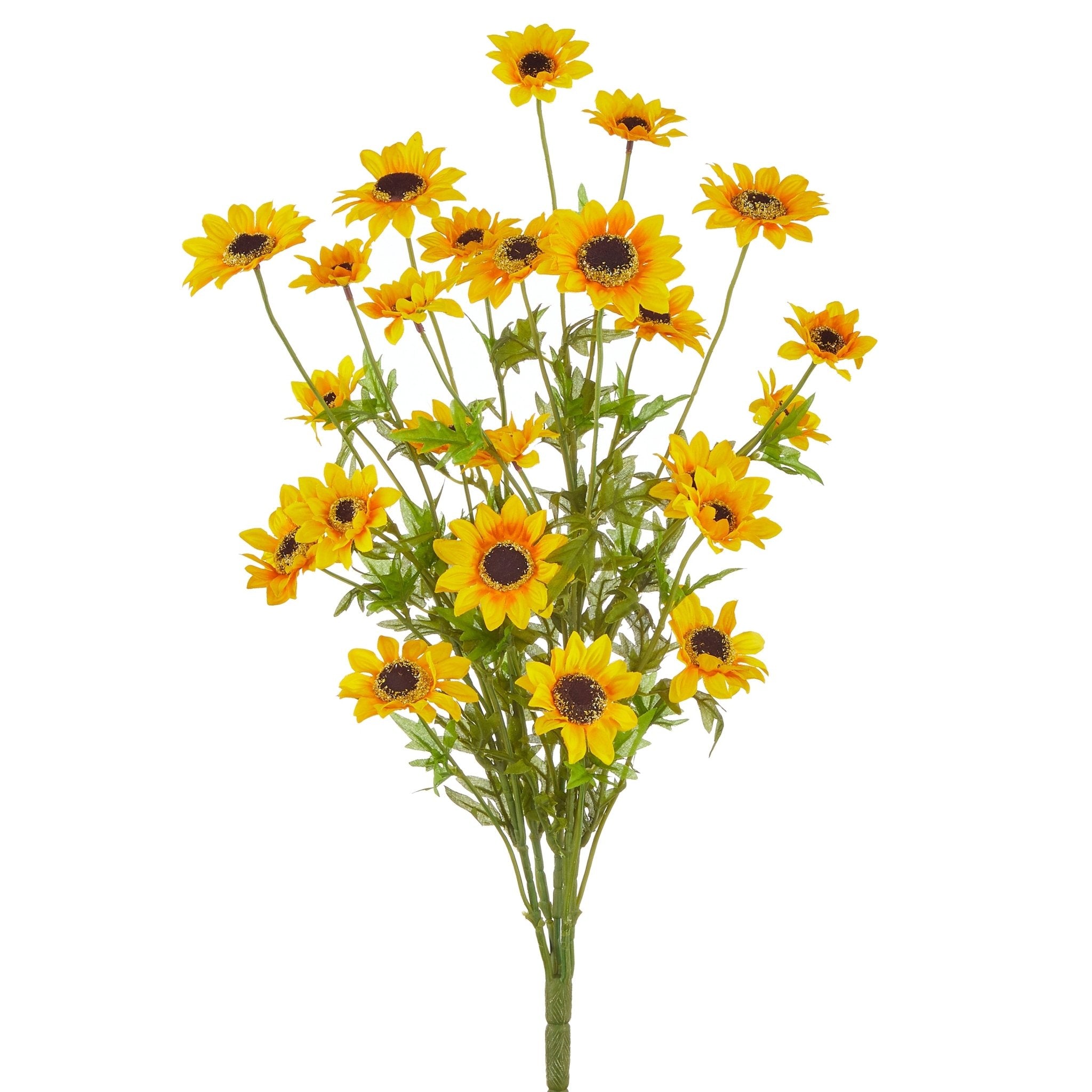 Raz 25" Yellow Black - Eyed Susan Bush - From Me To You
