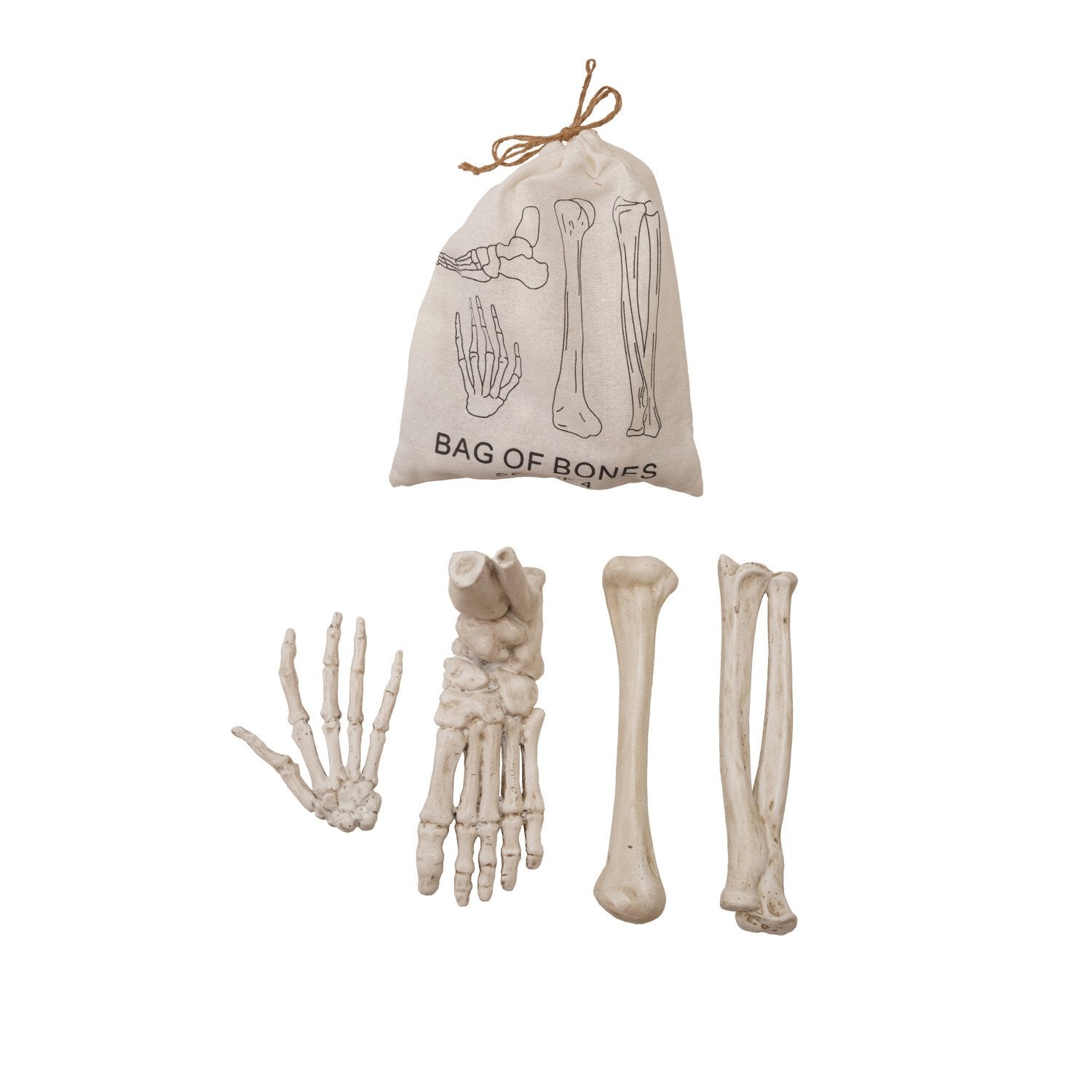 Resin Bag of Bones, White, Set of 4 in Printed Drawstring Bag - From Me To You