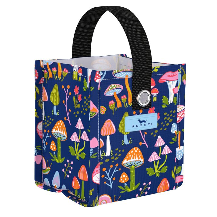 Scout Mini Package - Field Trip - From Me To You